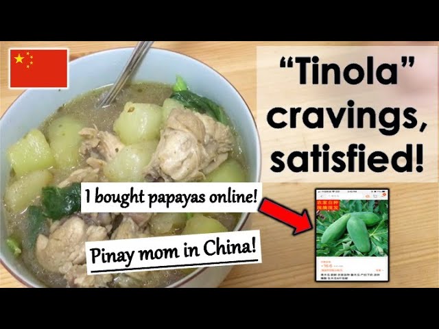 Filipina Teacher Mom Life in China: What It's Like Living on a University Campus with Family!