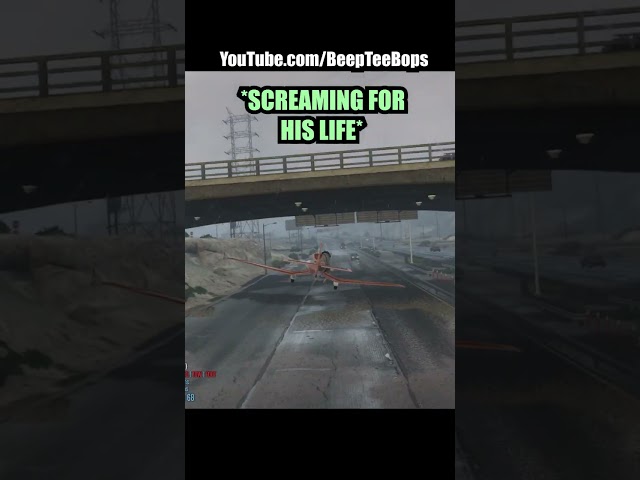 RABBIT WANTS CARROTS (Watch more in my channel)