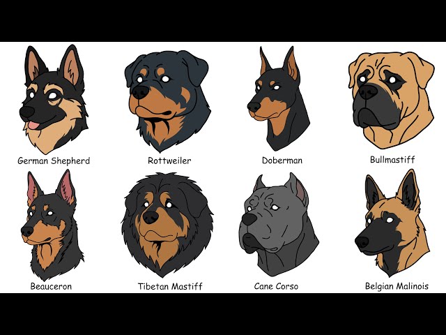 Most Dangerous Guard Dogs Explained in 7 Minutes