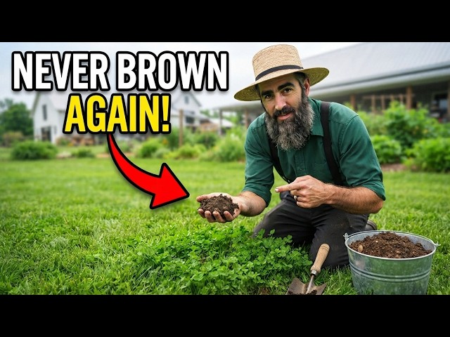 How To Keep Your Lawn Greener All Summer Without Expensive Chemicals (An Amish Natural Way)