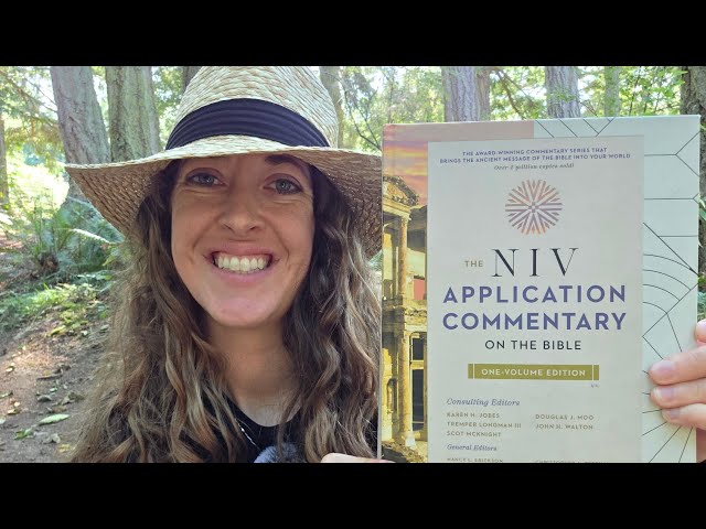 Welcome to a Mini Series Episode: NIV Application Commentary on the Bible