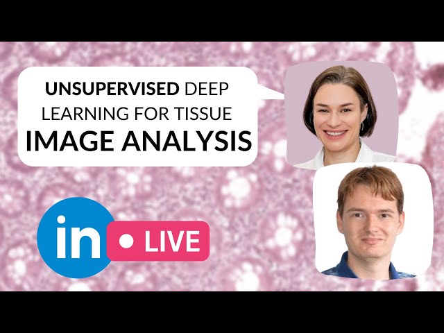 Unsupervised deep learning tissue image analysis w/ Geert Litjens