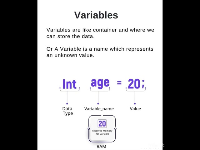 Basic Concepts of Programming languages | Basic Programming Constructs | data type | variable | loop