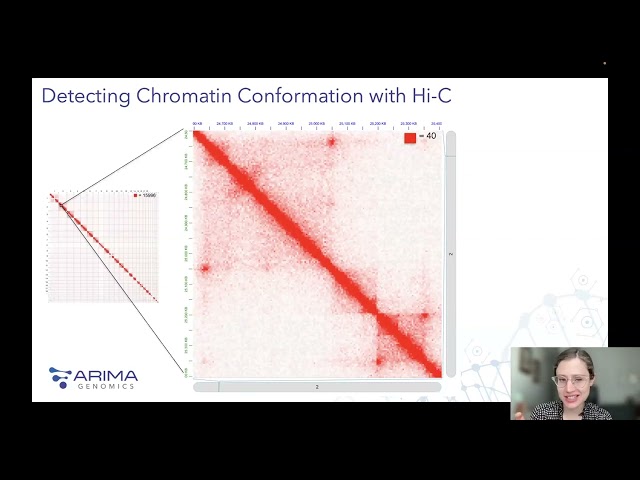 Bioinformatics for the 3D Genome: An Introduction to Analyzing and Interpreting Hi-C Data