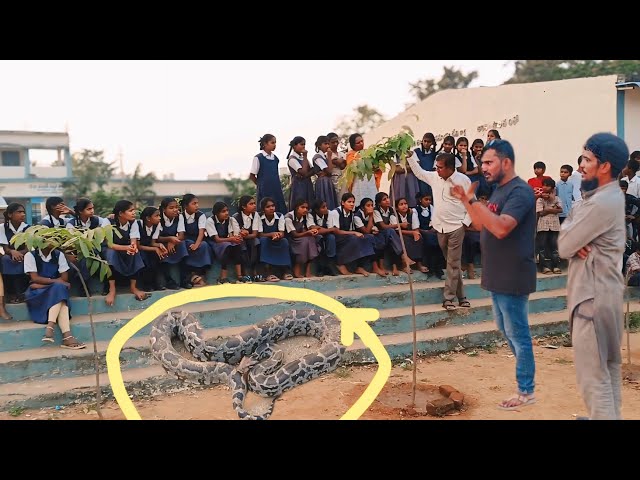 #Indian #rockpython rescue at #Mosra Mandal #GovernmentHighSchool #Nizamabad
