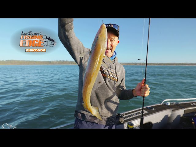 Perfect Conditions To Target XL sized whiting, Can I Find The Big Ones 