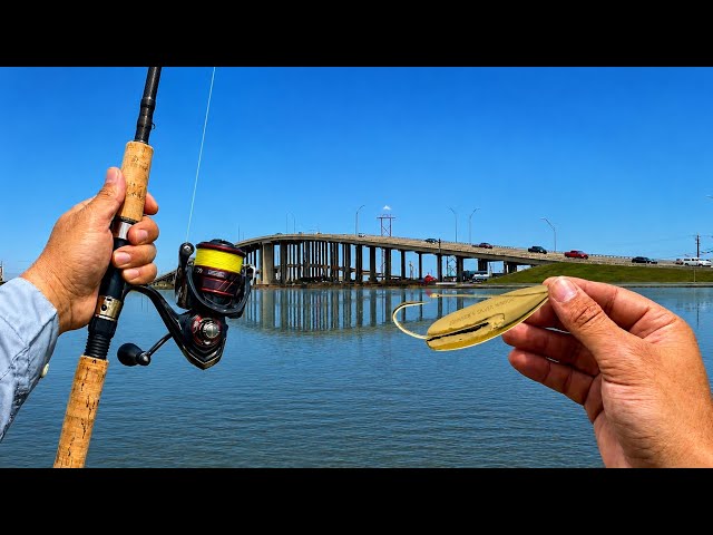 Corpus Christi Fishing for BIG Redfish!