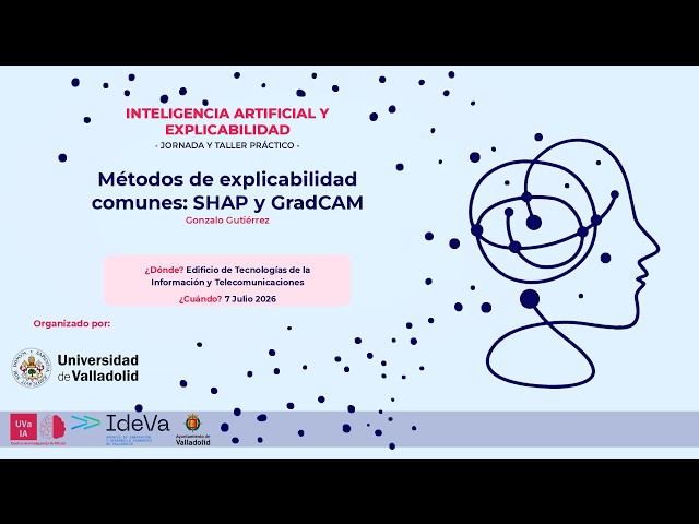 COMMON EXPLAINABILITY METHODS: SHAP AND GRAD-CAM