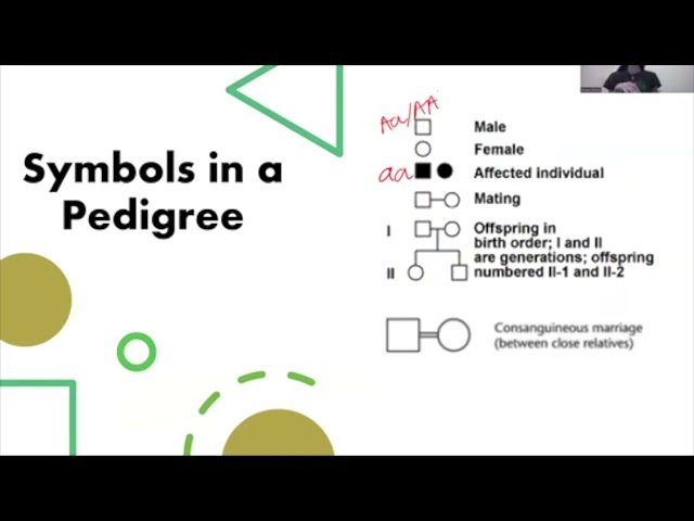 Tricky Topics: Pedigrees (Basics)
