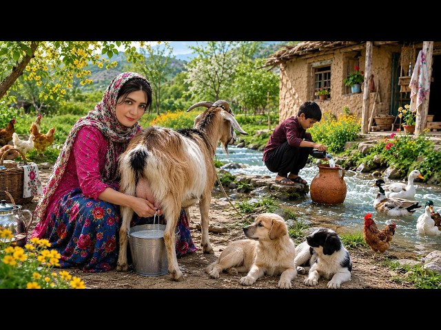 Village Lifestyle Iran | Amazing Bread Baking & Traditional Cooking