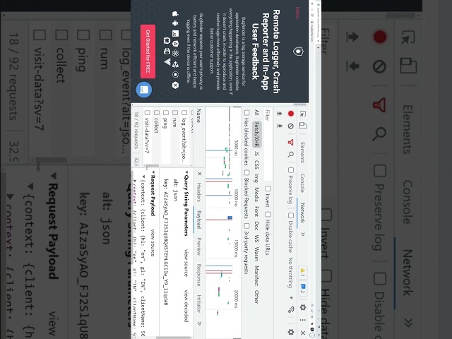 Google Chrome DevTools: Payload in Network Tab