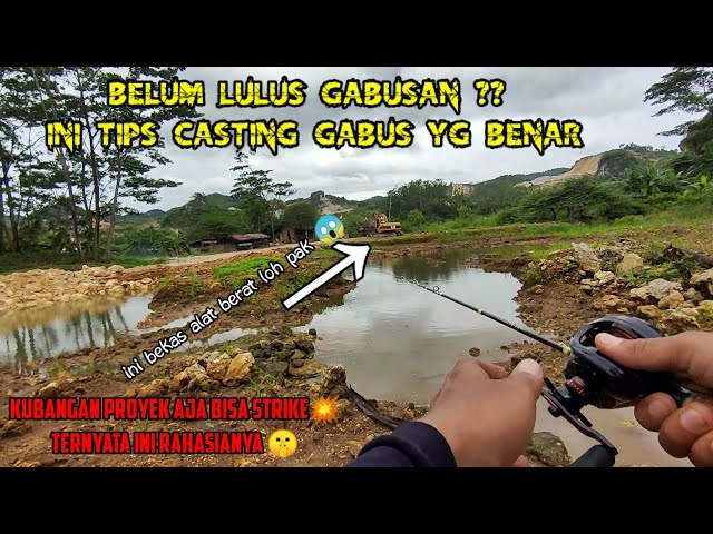 Beginner Auto STRIKE ✅ The Right Way to Fish for Snakehead Fish - Tips, Tricks, Bait & Channa Cas...