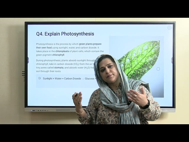 Class 7 Science Nutrition in Plants