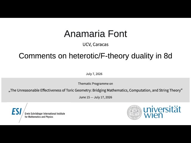 Anamaria Font - Comments on heterotic/F-theory duality in 8d