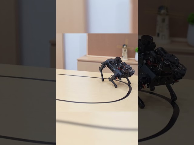 Give PuppyPi a line, and it'll follow it to the end🎯—even around obstacles