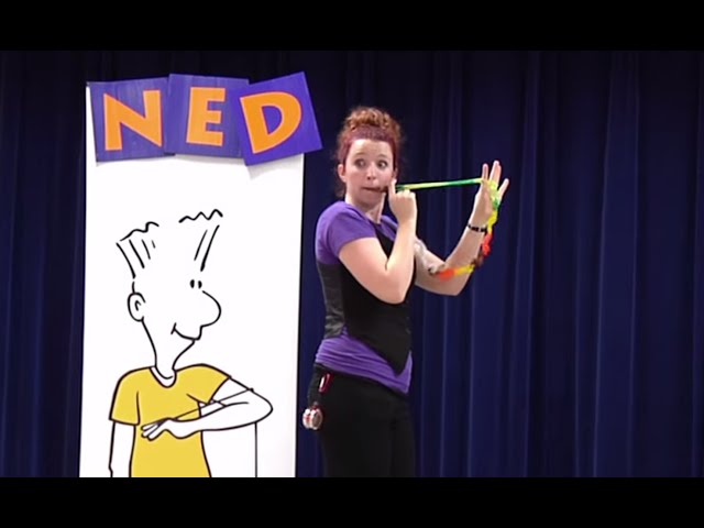 Highlights from The NED Shows