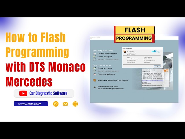 How to Flash Programming with DTS Monaco Mercedes