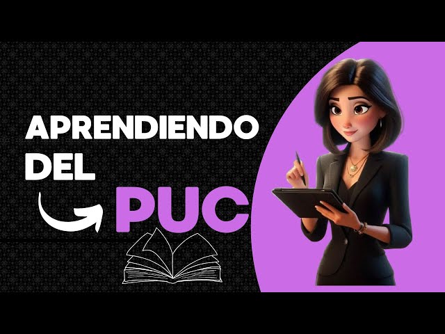 PUC Plan único de cuentas 🤩🖥️