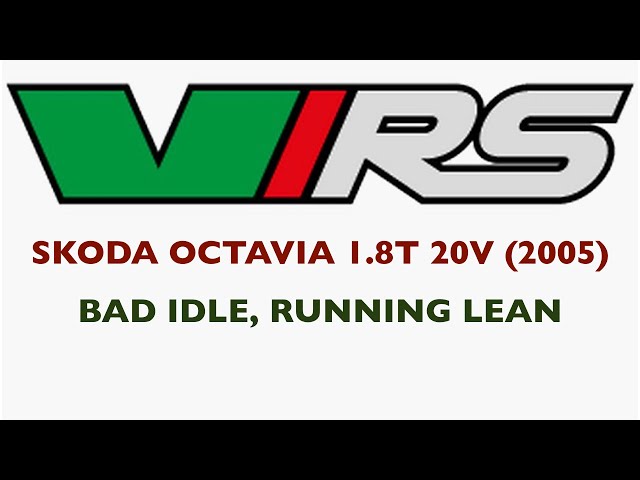Skoda Octavia 1.8T 20V VRS (2005) - Bad Idle Runs Lean P0130