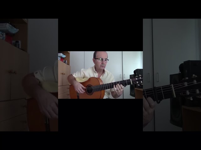 The basic touch – Petenera #shorts