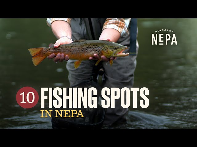 10 Fishing Spots in NEPA | Northeastern Pennsylvania