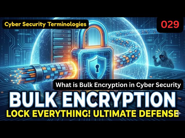What is Bulk Encryption  in Cyber Security