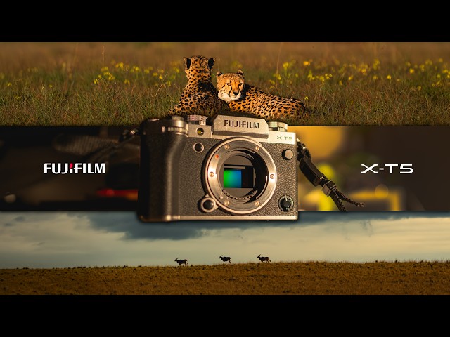 A Sony Shooter's Brutally Honest Fujifilm X-T5 Review