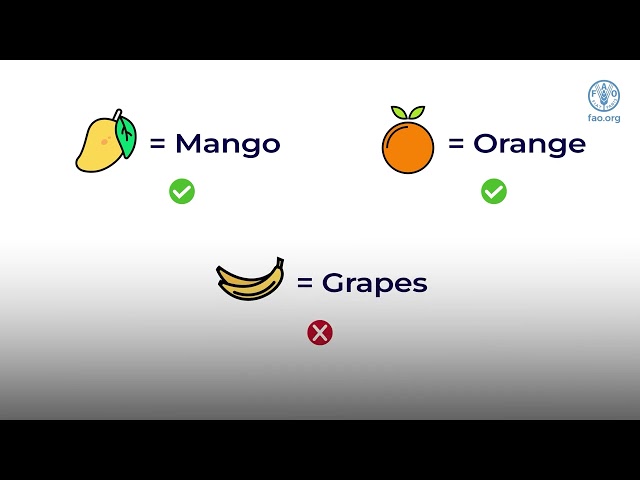 Interoperability Framework: Semantic interoperability