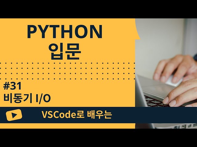 [VSCode로 배우는] Python 기초 #31 비동기 I/O