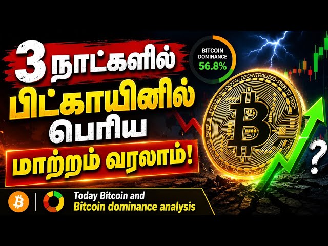 Bitcoin Price Prediction & Bitcoin Dominance Analysis Tamil | Next Altcoin Season?