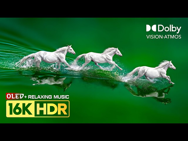 ULTIMATE Dolby Vision OLED TEST 120FPS | 16K HDR Nature Relaxing Music (8K/4K Video TV)