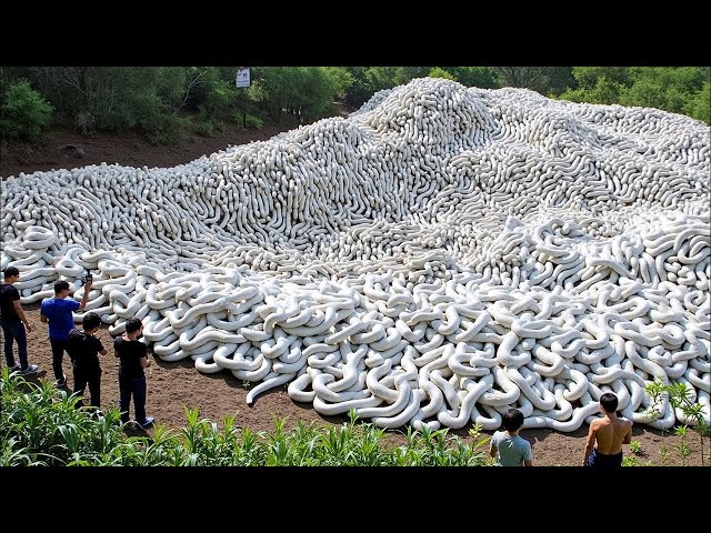 80 Strange Things Happening Right Now Around the World Caught on Camera