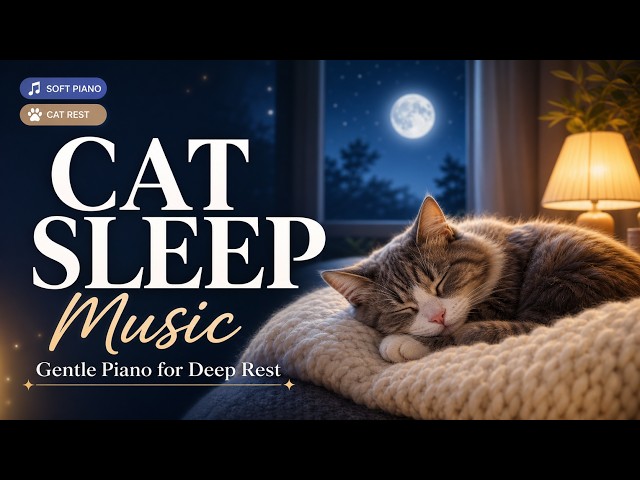 猫咪放松音乐 🌿 猫咪睡眠音乐——温柔的钢琴环境 帮助猫咪休息