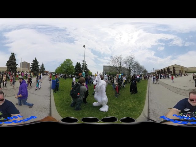 Furry 360 - Anime North 2019 furmeet