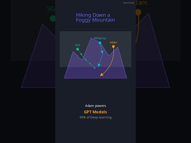 Neural Network Optimizers