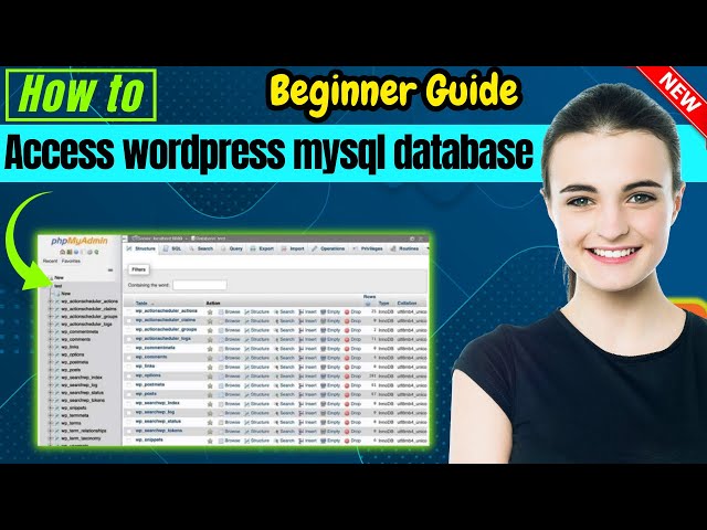 How to access wordpress mysql database 2026 | Full Guide