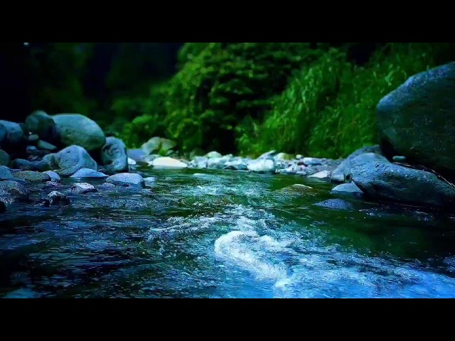 Soothing River Stream with Evening Ambience for Deep Sleep & Anxiety Relief