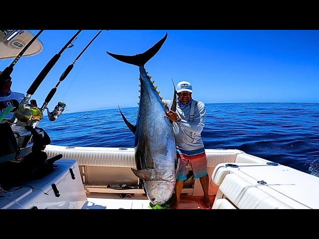 tuna catch of 160 kilos