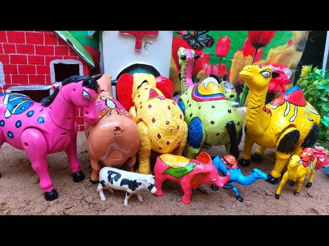 WADIDAU🤩💞‼️PROSES‼️POTONG SAPI🐄🦌🐫🐘‼️KURBAN‼️Sapi videos 985