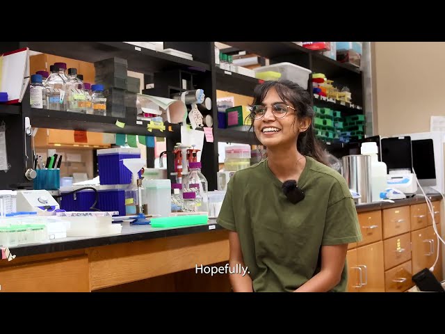 Sonali Lenaduwe