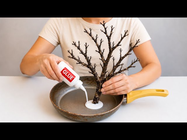 Look what I did with an old frying pan and some tree branches! Amazing recycling! 🍂