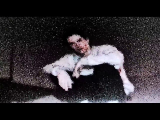 BONES - Dirt