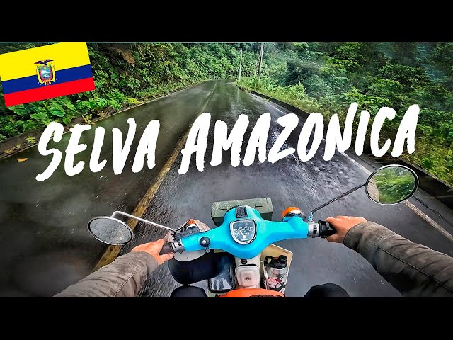 VIAJO A LA SELVA AMAZÓNICA Y DESCUBRO LA AYAHUASCA😱👀 | ECUADOR🇪🇨
