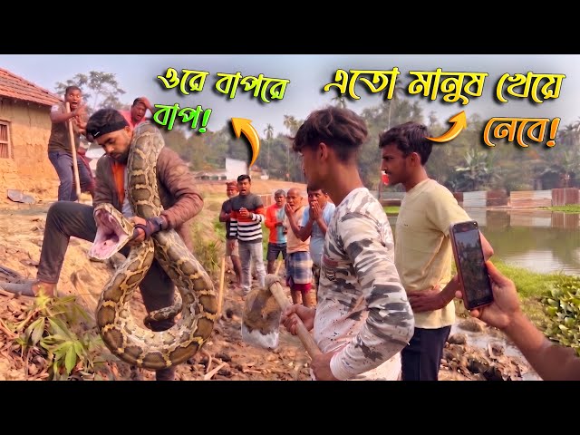 কেঁচো খুঁড়তে কেউটে নয়, স্বয়ং অজগর সাপ বের করলাম আজ! Rock Python Rescue Team #snakesaverbrothers 