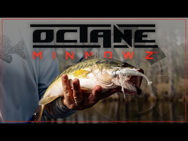 El Z-Man Octane MinnowZ: Elevando el estándar de los swimbaits estriados