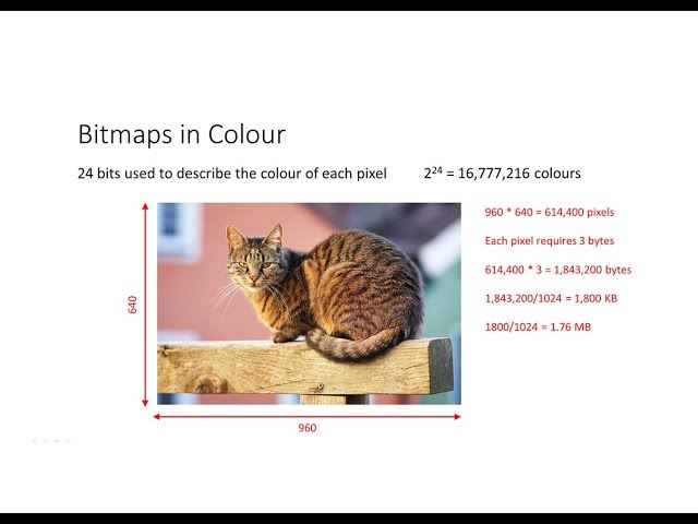 Bitmap Images