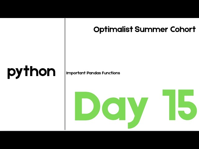DAY 15 | Optimalist Summer Cohort | Important Pandas Functions