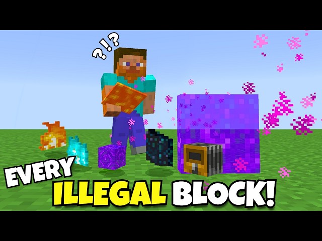 I Collected Every ILLEGAL BLOCK In Minecraft! (Bedrock Edition)