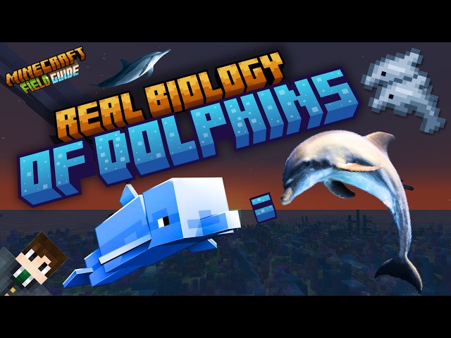 How Real Are Minecraft's Dolphins?