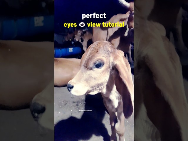 perfect eyes 👁️ view tutorial ✨🔁 #loop #tutorials #shorts